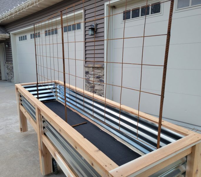 raised garden bed with steel mesh trellis