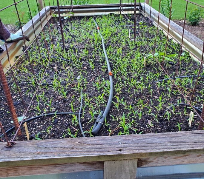 4x8 Garden Bed